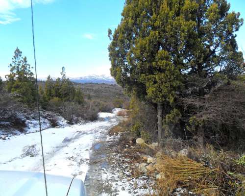 Campo Agreste con Costa del Lago Lezama-cholila-chubut