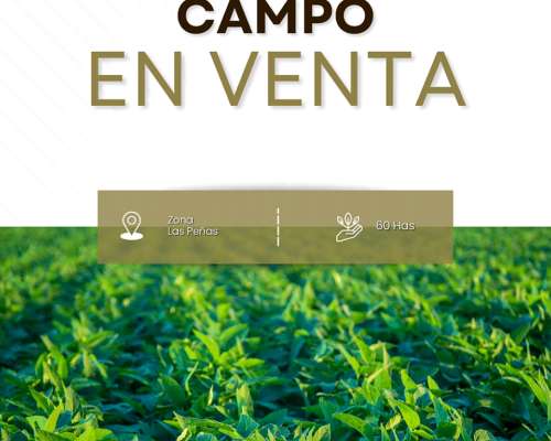 Vendo 60has Suelo III Zona las Peñas