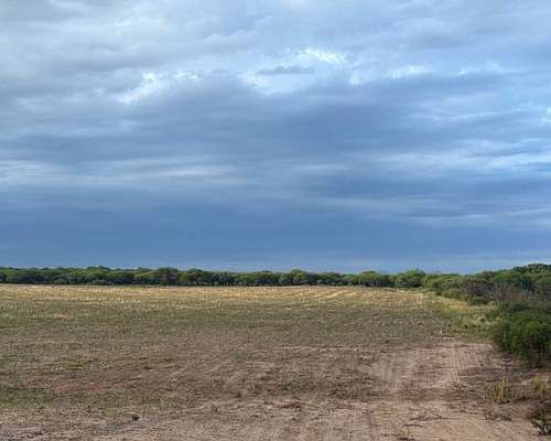 Vendo Campo a 20 Minutos de Villa Mercedes