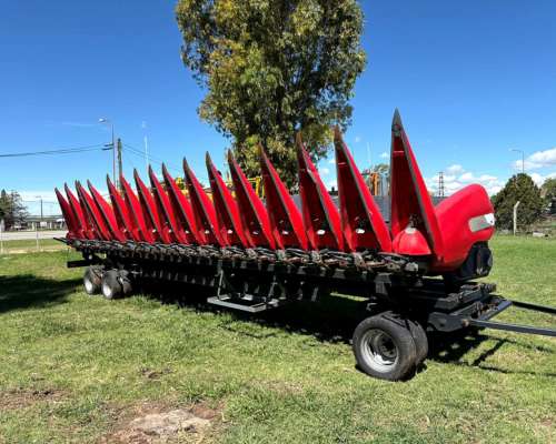 Maicero 16/52 Ombu cm 2020