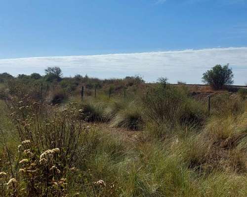 Muy Buen Campo en el Nochero