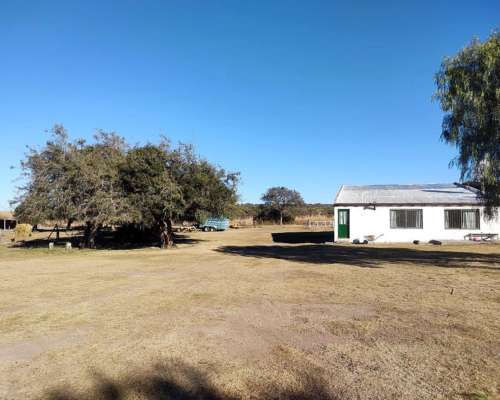 Alquiler o Venta Ganadero Potrerillo (san Luis) 180 Has