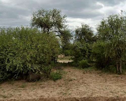 Campo de 104hs Ganaderas con Escritura, Agua LUZ Electrica