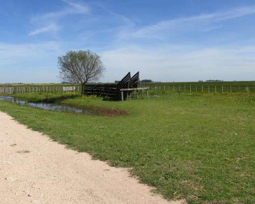 1.144 Has - en Venta - Adolfo Gonzales Chaves - Buenos Aires