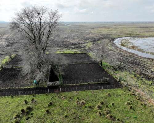 Crotto, Tapalqué, Buenos Aires - 440 Ha