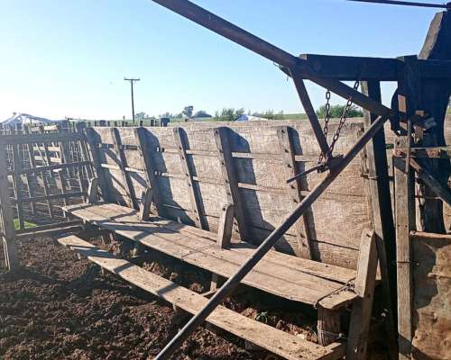 4.5 Has Preparadas para Fritlot