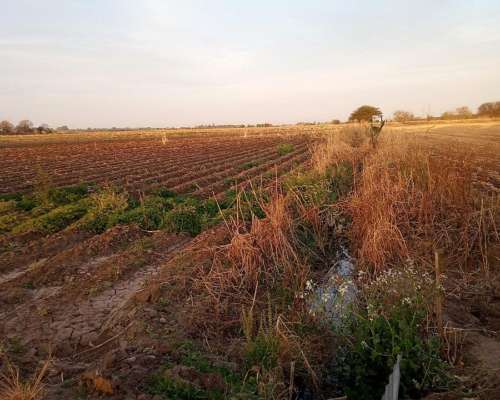 Campo con Riego y Escritura.