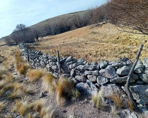 Vendo Campo en la Carolina,san Luis