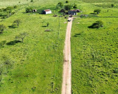 Vendo Campo 20 Has en Ruta 39 Concepción del Uruguay Entre R