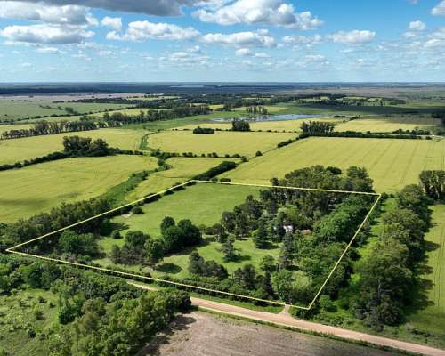 8 Has. Chacra con Casco en Alsina