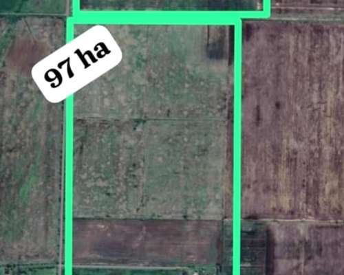 Se Venden 100 Ha Zona Pilar