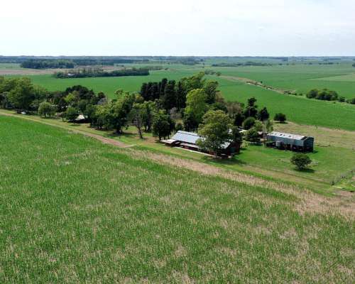 67,50 Has. Campo Agrícola con Casco en Baradero