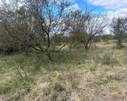 260 HA. Buen Campo Ganadero. Dpto Paraná