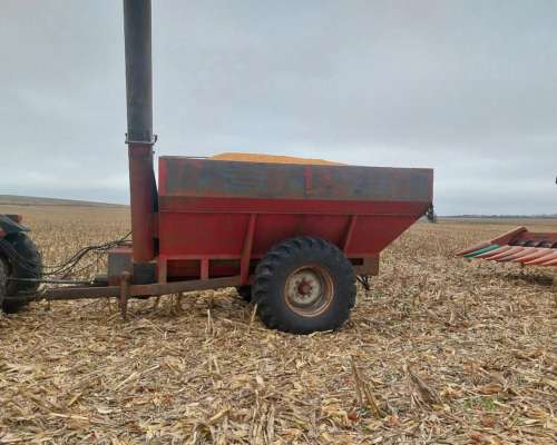 Cestari con Balanza y Gomas Nuevas