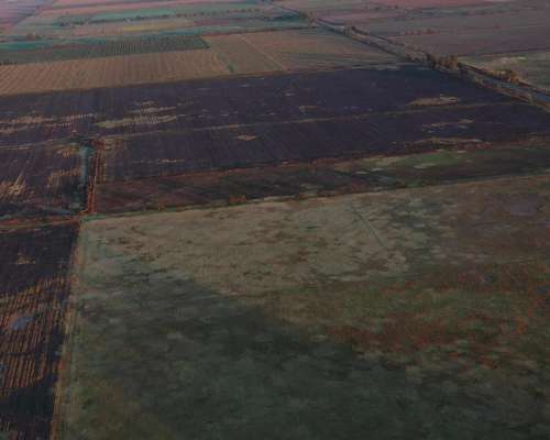 La Pampa Realicó Gran Campo
