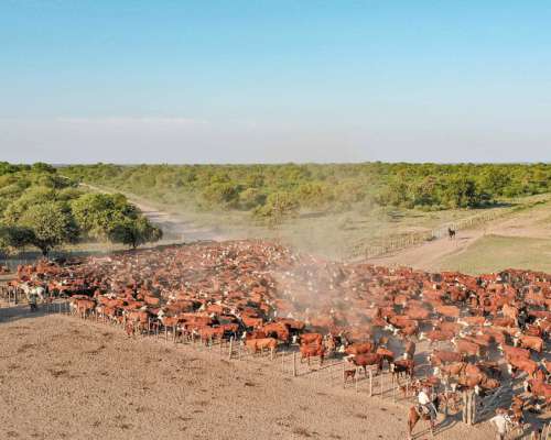 Pcia. de Santiago del Estero - el Fisco de Fátima 9389 Has