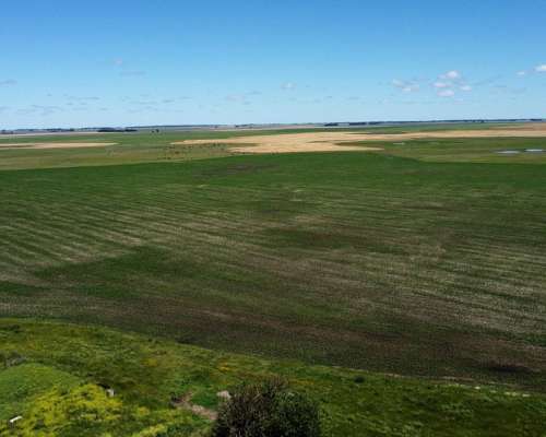 Campos en Venta Provincia Buenos Aires