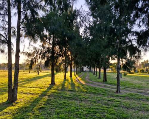 Encargado de Campo- Cadete