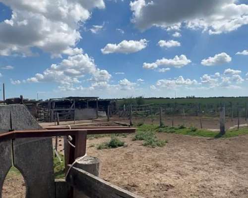Se Venden 100 Ha Zona Pilar