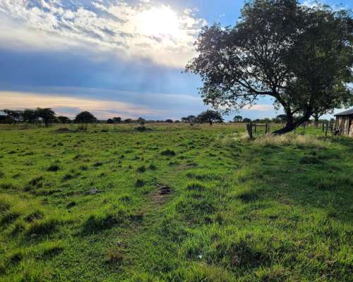 Venta de 25 Has en Mercedes (corrientes) en Zona Urbana