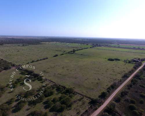 Campo Mixto. 64 Has. Coronda, Santa FE