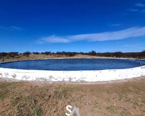 Vende: Hermoso Coto de Caza en la Pampa