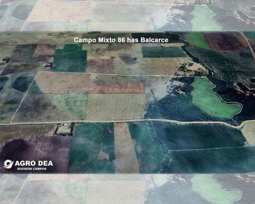 Excelente Campo Mixto Agricola, Balcarce,. BS AS. Consultar