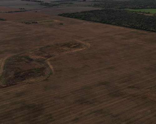 Chaco Roque Saenz Peña 290 Has Agrícolas