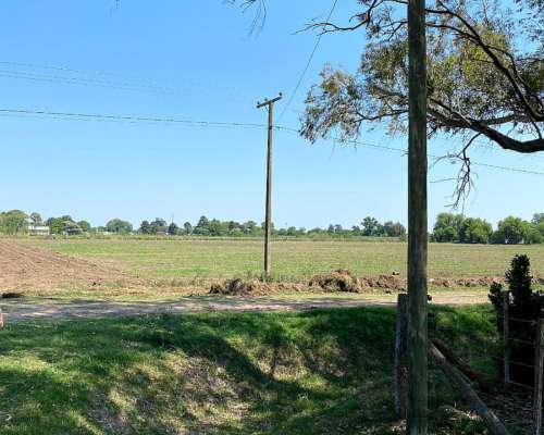 Lote en Venta en Carmen de Areco