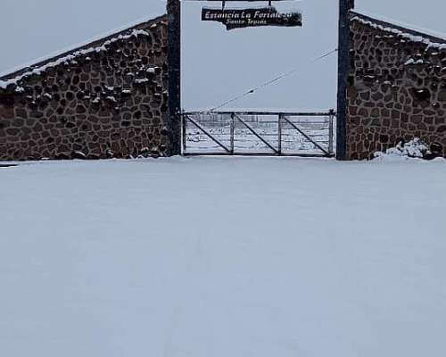 23000 Ha Gran Estancia Neuquina Collon Cura