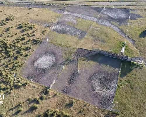 Alquilo 1.482 Ganaderas en Departamento San Martin.