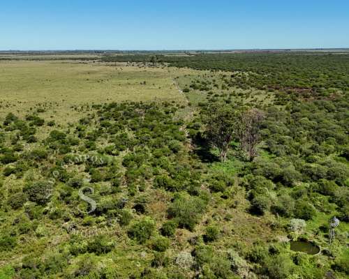 Campo Ganadero. SA Pereira, Santa FE. 1.022 HA.