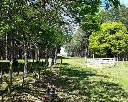 Campo Mixto en Concordia