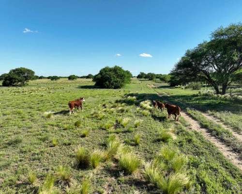 Pcia. de San Luis - Arizona 2307 Has