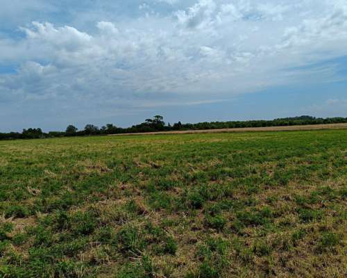 Campo Hortícola en Alquiler en la Plata