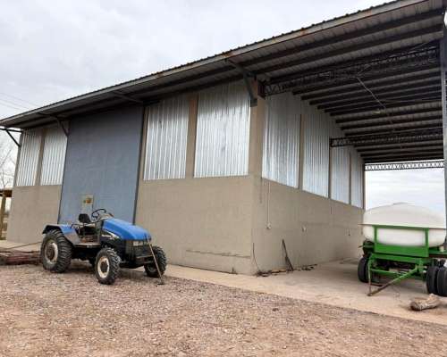 74 Has Carril Chimbas Pozo Nuevo, Goteo y Tela Antigranizo
