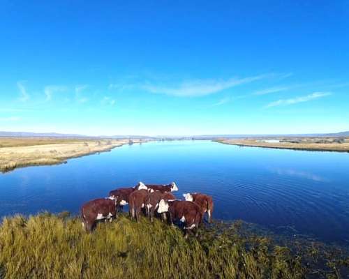 Campo Sobre Ruta N°40