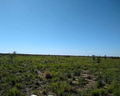 Vendo Campo Agricultura-malbran S,e,