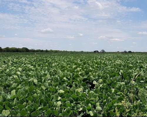 Se Venden 180 Has Zona Soledad.