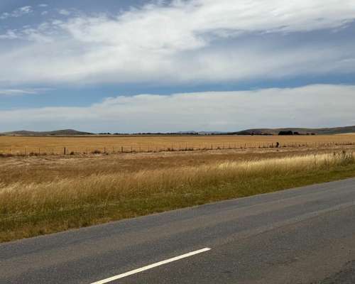 716 Has. C. Pringles S/ruta 51