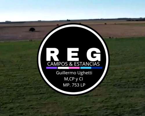 350 Has - Anguil, LP