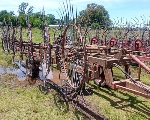 Rastrillo Balina de 14 Estrellas Impecable