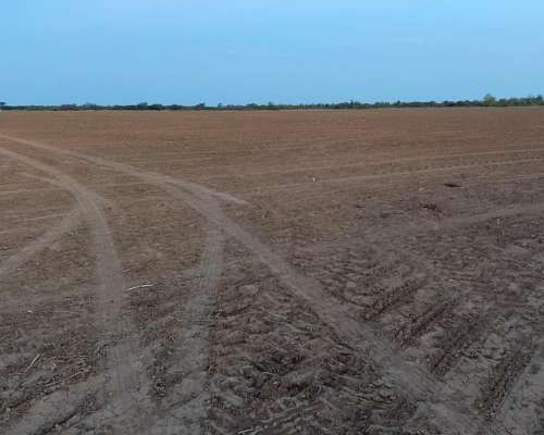 Campo Agricola 589 Has - Tres Isletas Chaco