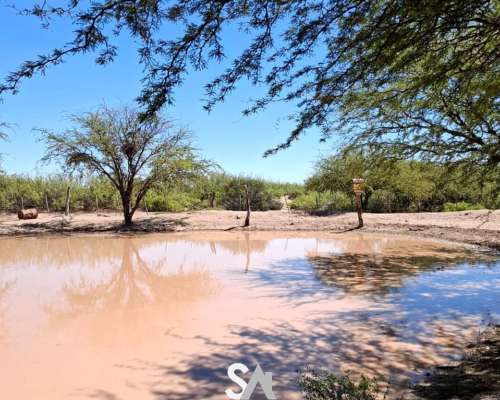 Vende: Campo de 12.342 Hectáreas, Limay Mahuida, la Pampa