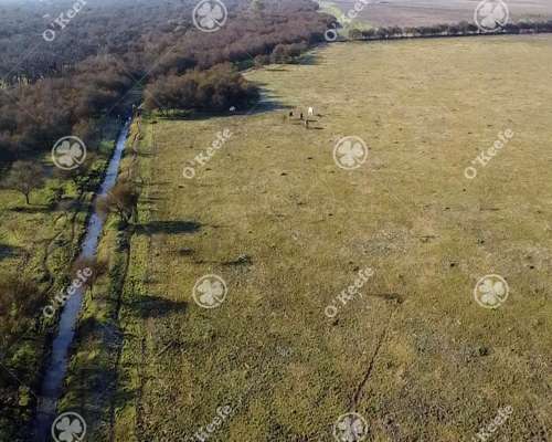 Campo en Venta de 13.747 Has. Ibicuy, Entre Rios