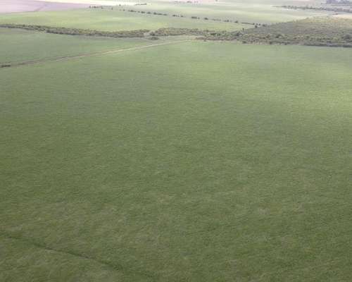 525 Hectáreas Agrícolas Sobre Ruta, San Marcial.