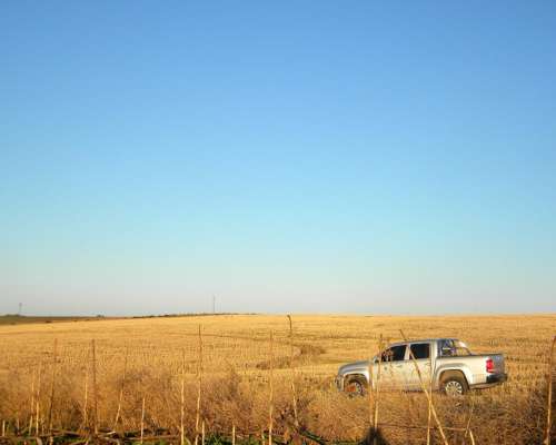 73ha en Camersa MZA con Riego y Alfalfas