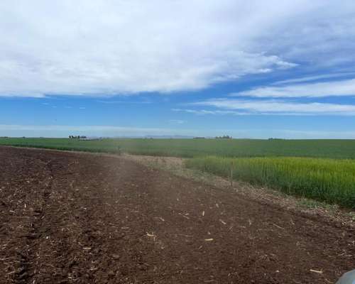 Campo Agrícola 900 Hectáreas