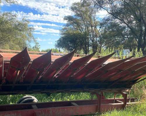 Cabezal Girasolero Mainero con Carro