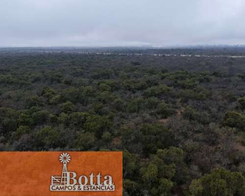 950has en Venta en Villa Mercedes, San Luis